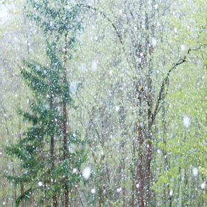 少妇做爱图片视频在线观看
