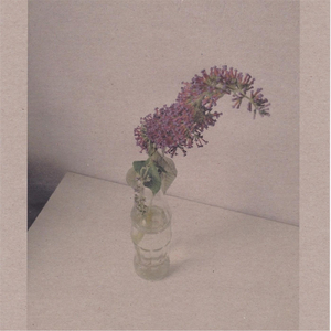 少妇做爱图片视频在线观看
